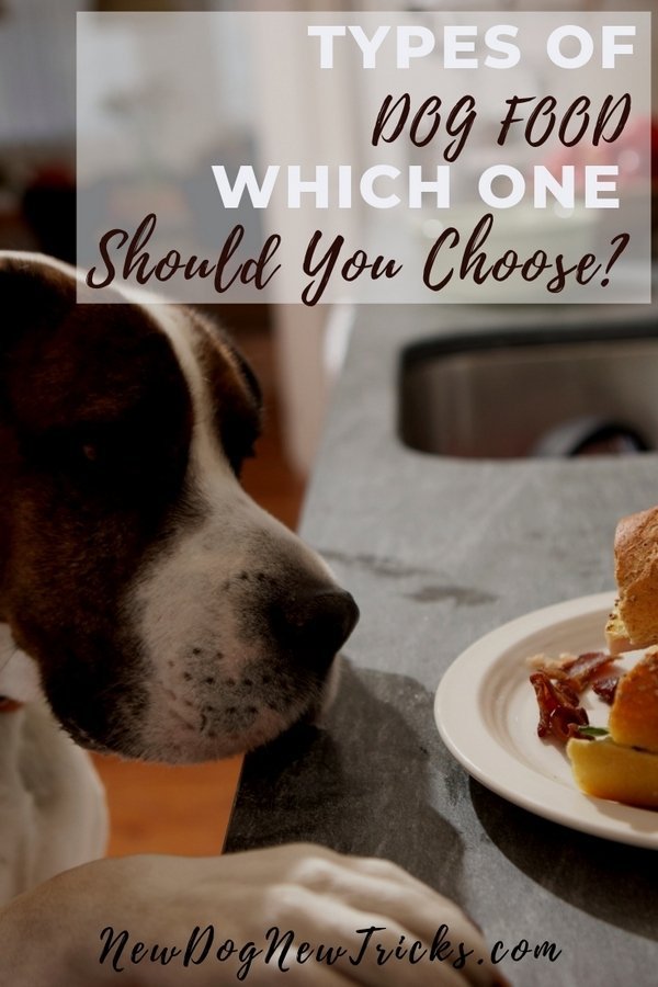 Types of Dog Food - Which One should You Choose_ P3