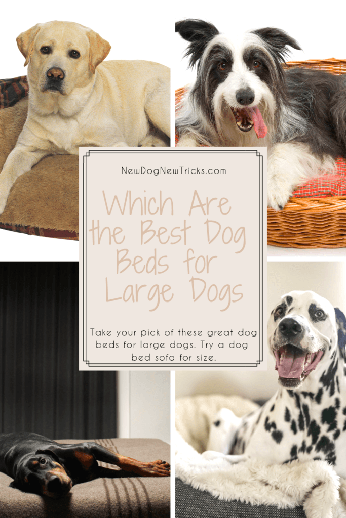 Dog Beds for Large Dogs – Which Are the Best Dog Beds Pin