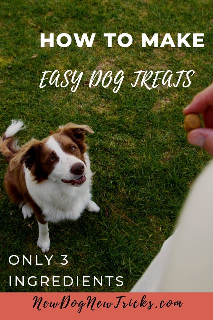 How to Make Easy Dog Treats – Only 3 Ingredients P2