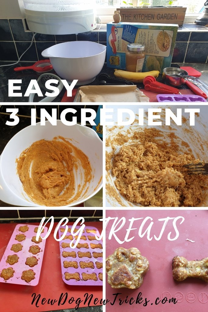 How to Make Easy Dog Treats – Only 3 Ingredients P3