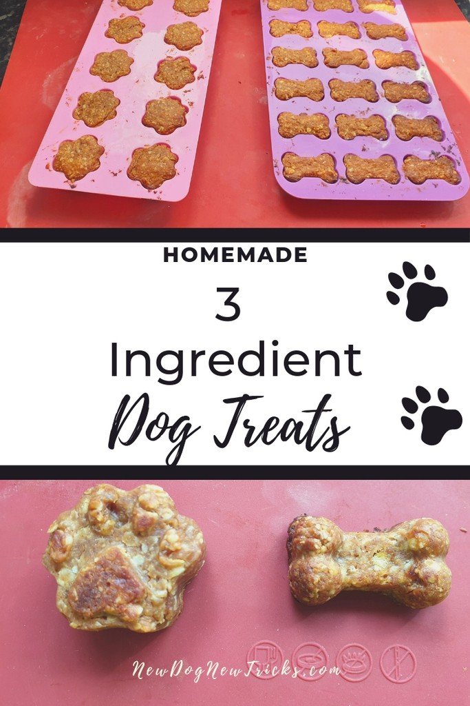 How to Make Easy Dog Treats – Only 3 Ingredients P4