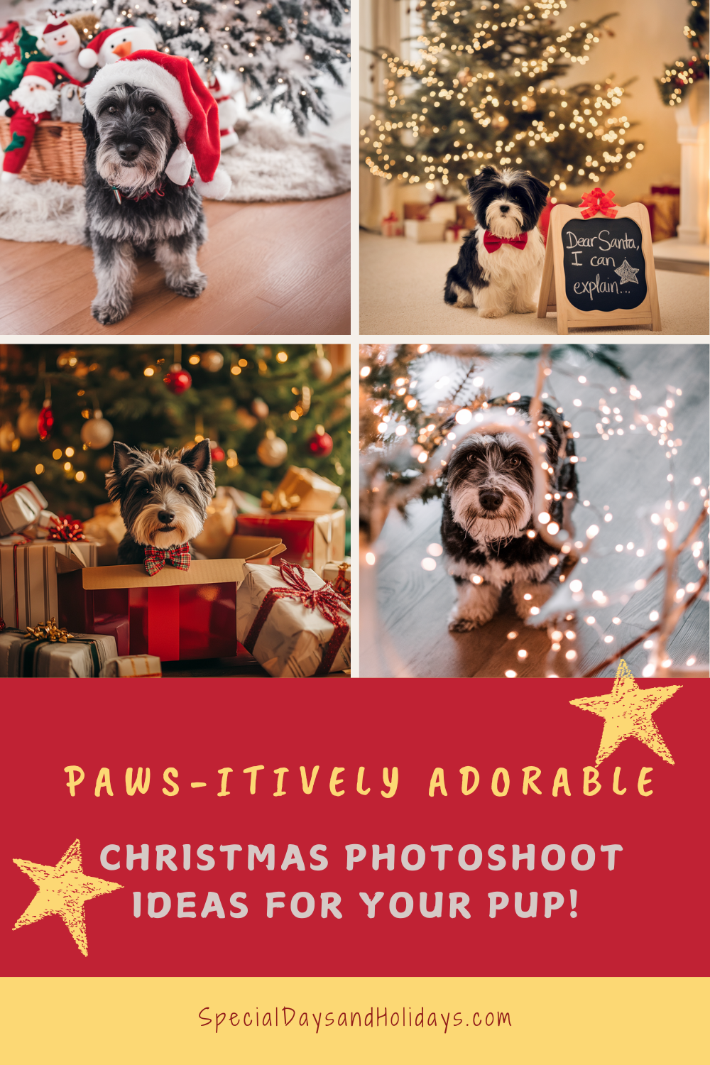 🎄 Paws-itively Adorable Christmas Photoshoot Ideas for Your Pup! 🐾