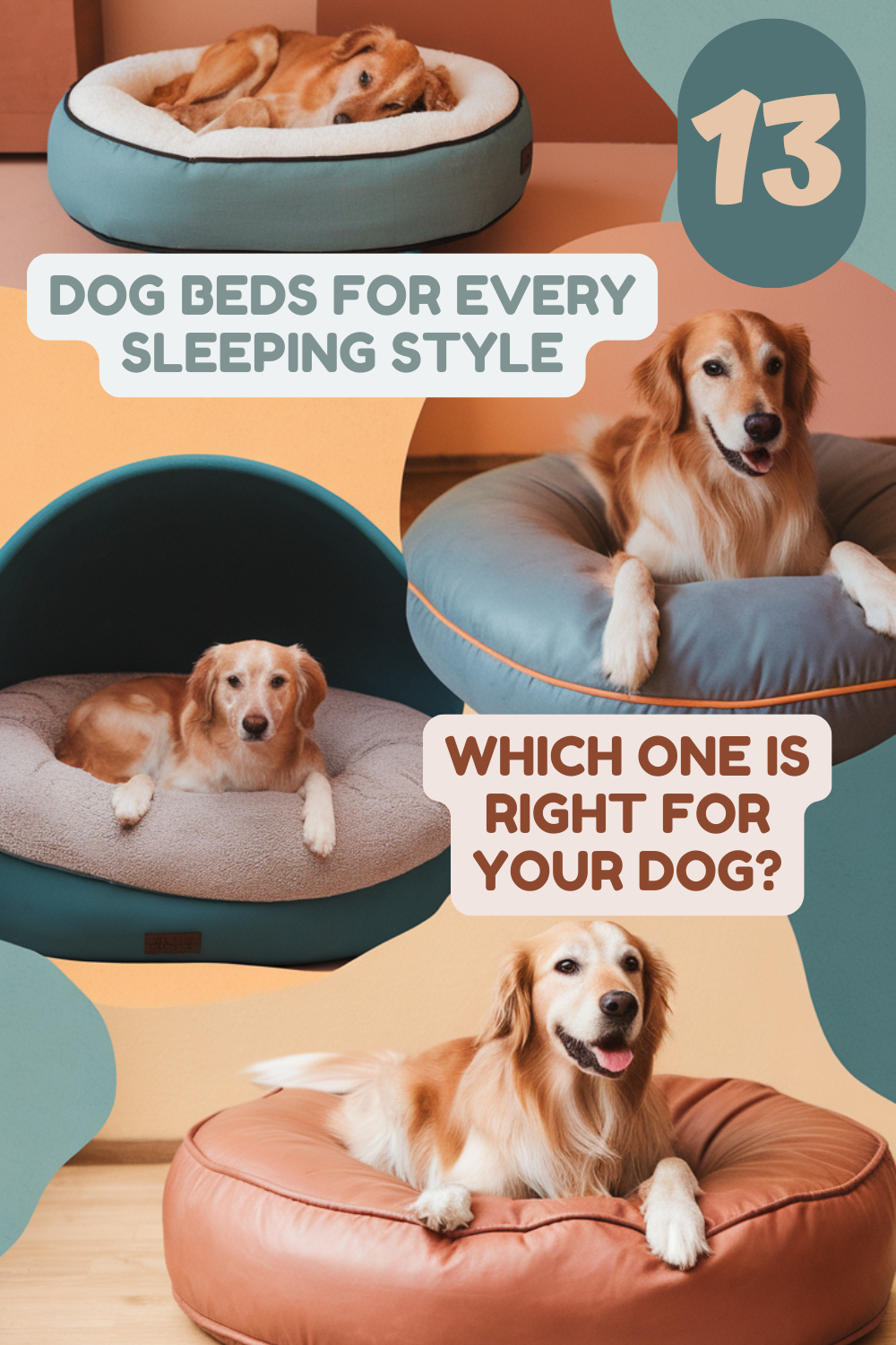 A collection of four different types of dog beds, each featuring a happy dog lounging in a cozy space. The beds vary in shape and style, including a plush round bed, a structured cave bed, and a cushioned bolster bed. Warm, inviting colors and soft textures highlight comfort and relaxation.