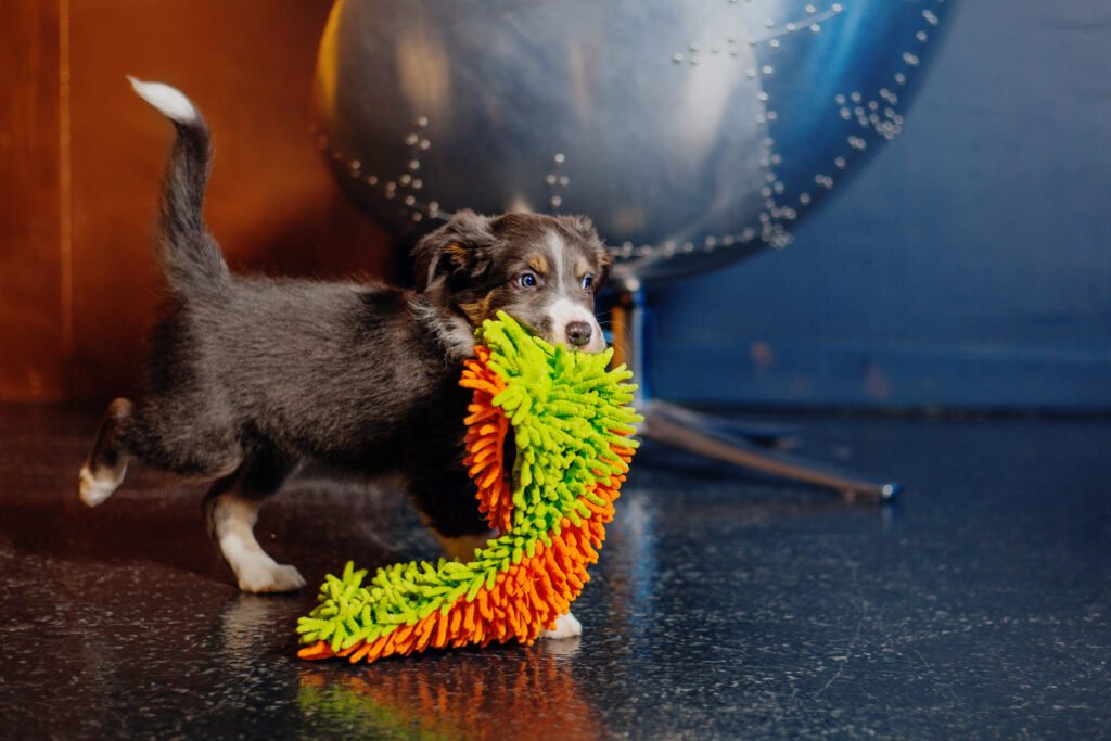 Dog Enrichment Toys snuffle mats