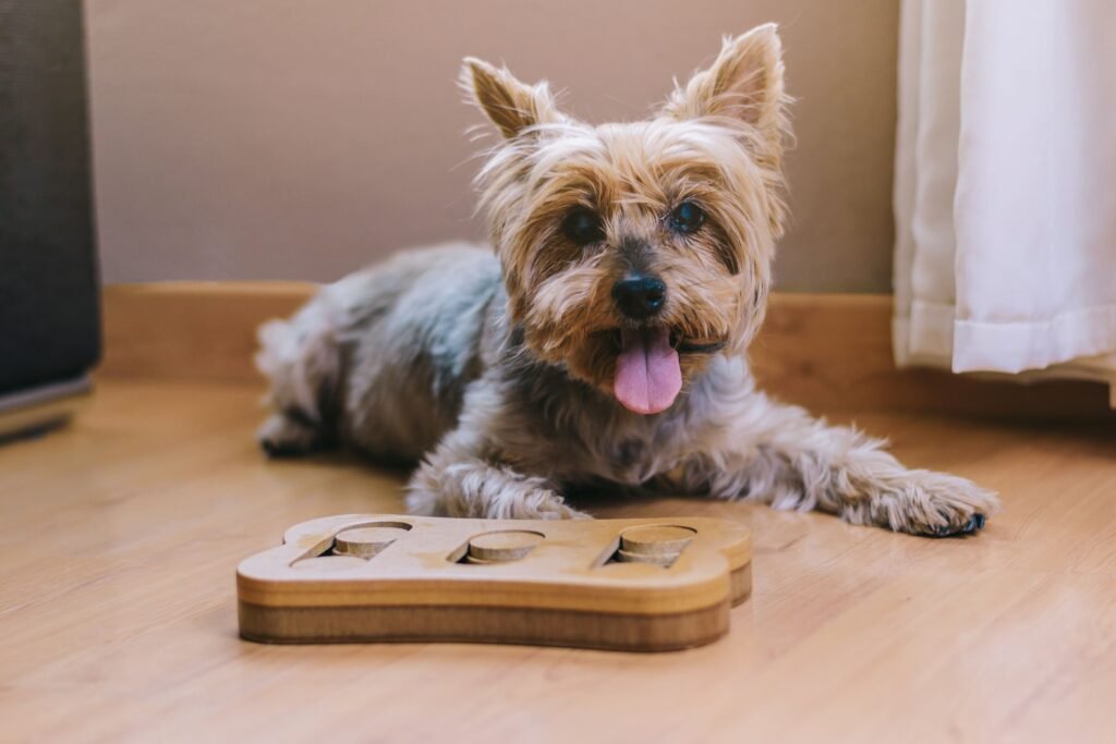 Dog Enrichment Toys dog puzzle