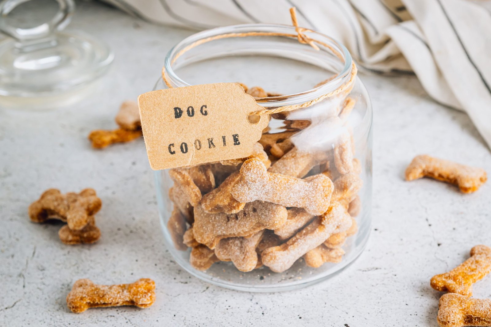 Air Fryers for Quick Dog Treats storage