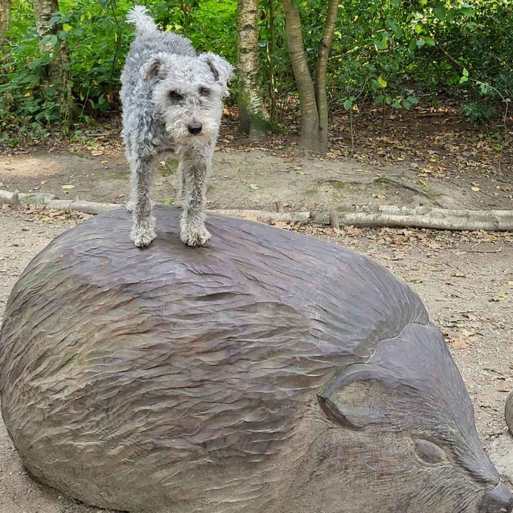 bedlington terrier quirks