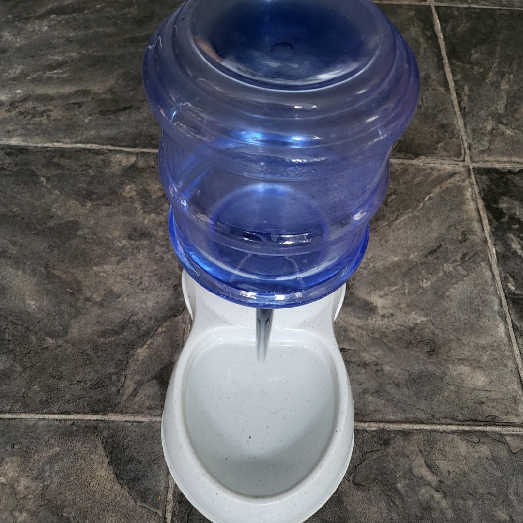 Dog Water Fountain